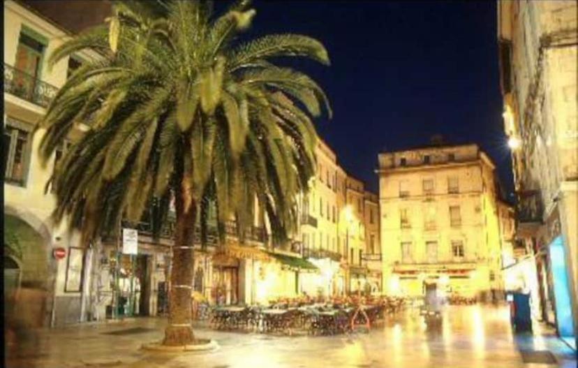 Cosy Au Coeur De L'ecusson - Arenes A 2 Min Appartement Nîmes